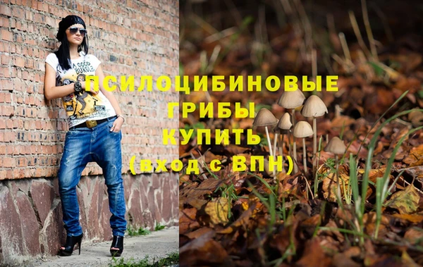 винт Алзамай